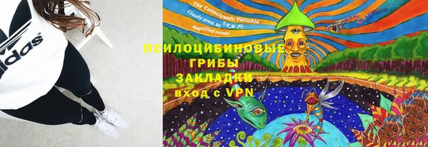 2c-b Осташков